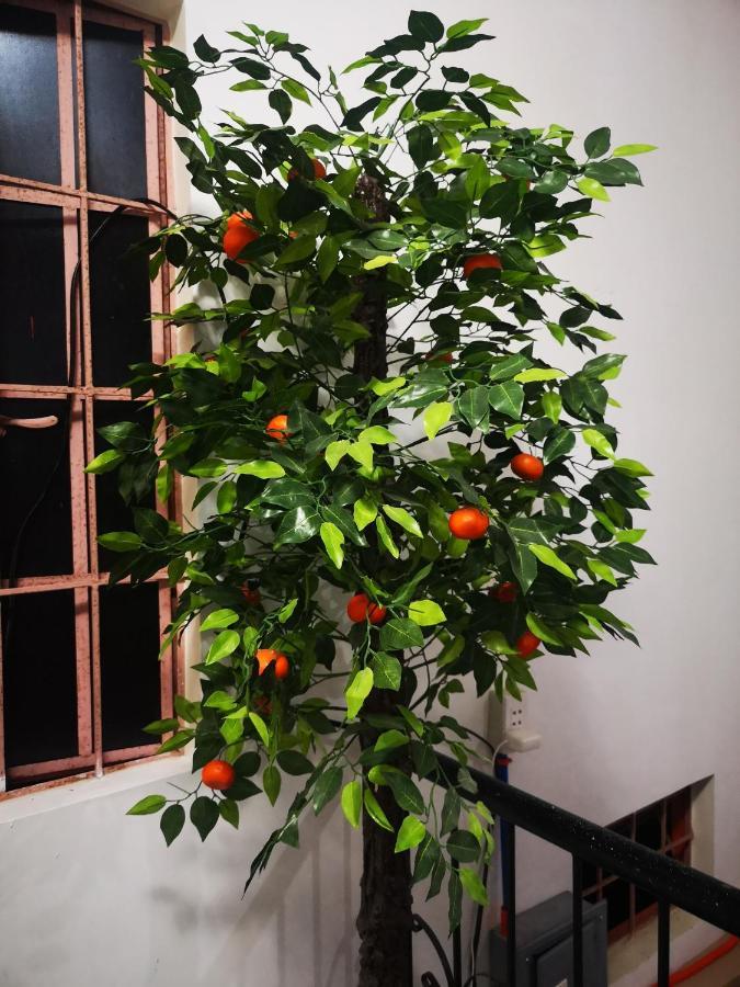 Estrelle Orange House - Backpackers Hub Apartment Puerto Princesa Ngoại thất bức ảnh